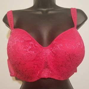46C Pink Lace Underwire Bra Avenue Plus Size